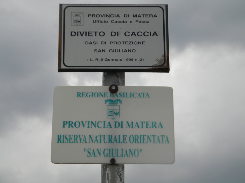 DSCN2674 .JPG